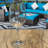 Wine Glasses-1949024338