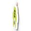 Gruia Wall Decor