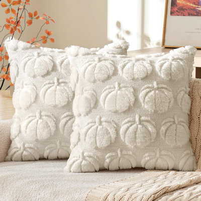 Fall Pillow Covers Pumpkin Fall Decor 16x16 Beige Set of 2 Fall Decorations for Home, Plush Faux Fur Farmhouse Accent Pillowcases, Porch Sofa Couch Cushion Bed Livingroom