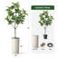Arbre artificiel avec pot à fleurs en forme de faux drapeau Magnolia (pot en pot et arbre)-104347630