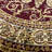Anoush Oriental Indoor Rug-1559394678