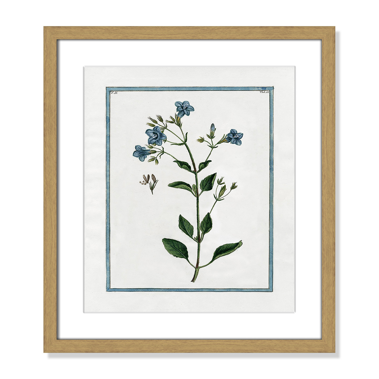 Colombe "Shabby Elegance Botanical II" Print, 13" W x 15" H, Natural Framed