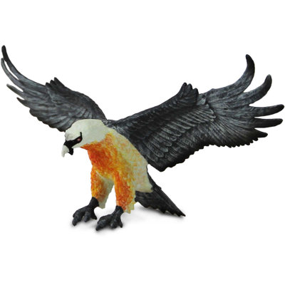 Gypaète barbu