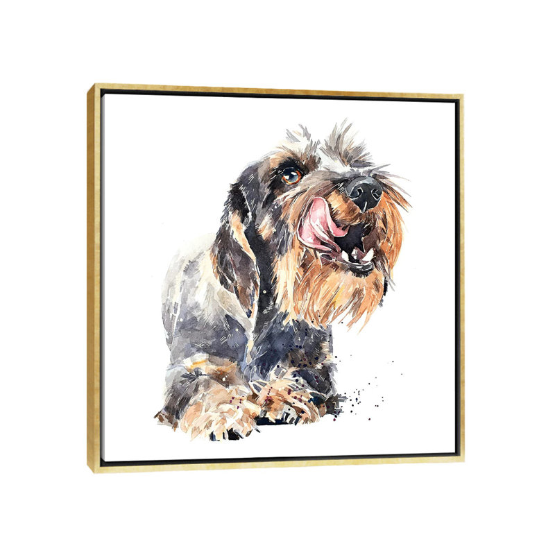 «Wirehaired Dachshund I» par EdsWatercolours - impression, H 18 po x l 18 po x 1,5 po, Toile avec cadre or, Pas de tapis