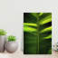 Art mural ombré élégant abstrait palmier naturel tropical-916573381