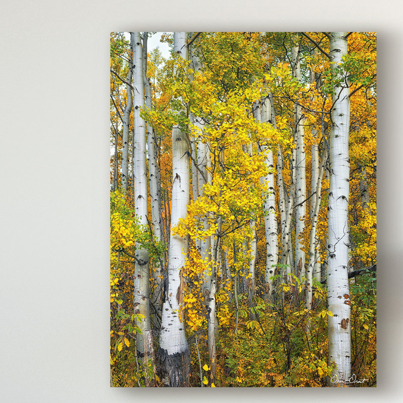 « yellow colors v », photographie sur toile tendue, H 47 po x l 35 po x P 2 po