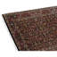 Hand Knotted Area Rug in Blue/Rust