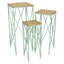 Support pour plante gigognes 3 pièces Mito, plateau en bois brun, croix en X-103840201