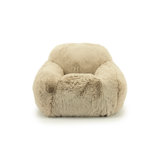Accent Chair Lounge Chair