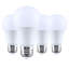 13 Watt LED Bulb-67147082-134526255
