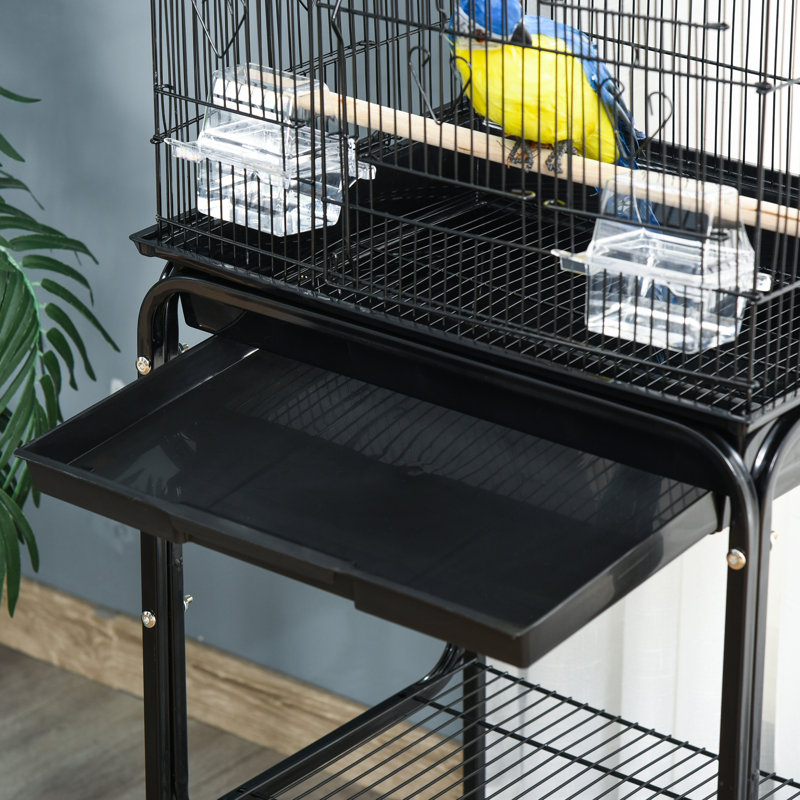 Ensemble de démarrage pour cage à oiseaux 60 po en métal avec support à roulettes amovible, panier de rangement et accessoires, noir