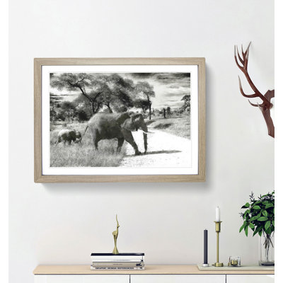 Mother and Baby Elephant Strolling - Picture Frame Photograph Print