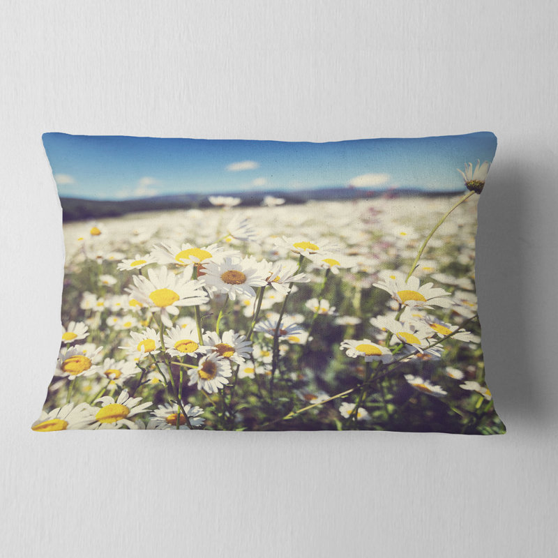 Coussin Mountain