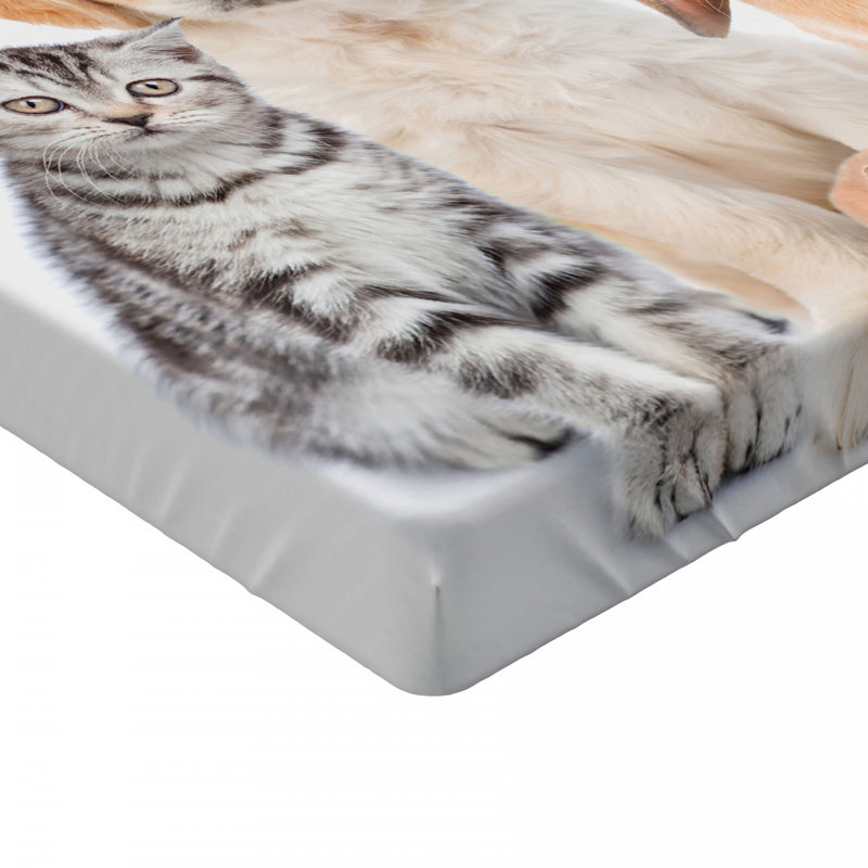 Microfiber Fitted Sheet, Full Fitted Sheet