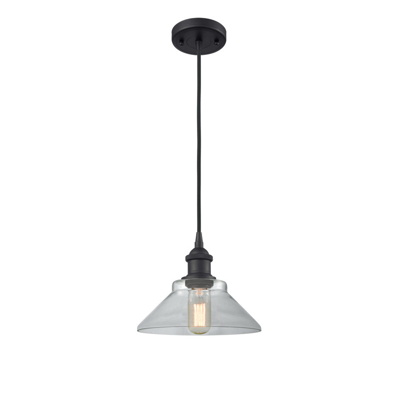 Newton St Loe 1 - Light Single Pendant, Matte Black, No Bulb Included, Clear