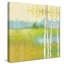«Spring Fling II», reproduction de peinture acrylique sur toile-29609499-29609738