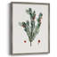 Reproduction encadrée Vintage Winter Yew - bois massif-1514880407