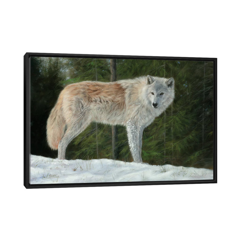 «Gray Wolf in Snow», impression sur toile, H 18 po x l 26 po x P 1,5 po, Toile avec cadre noir, Pas de tapis