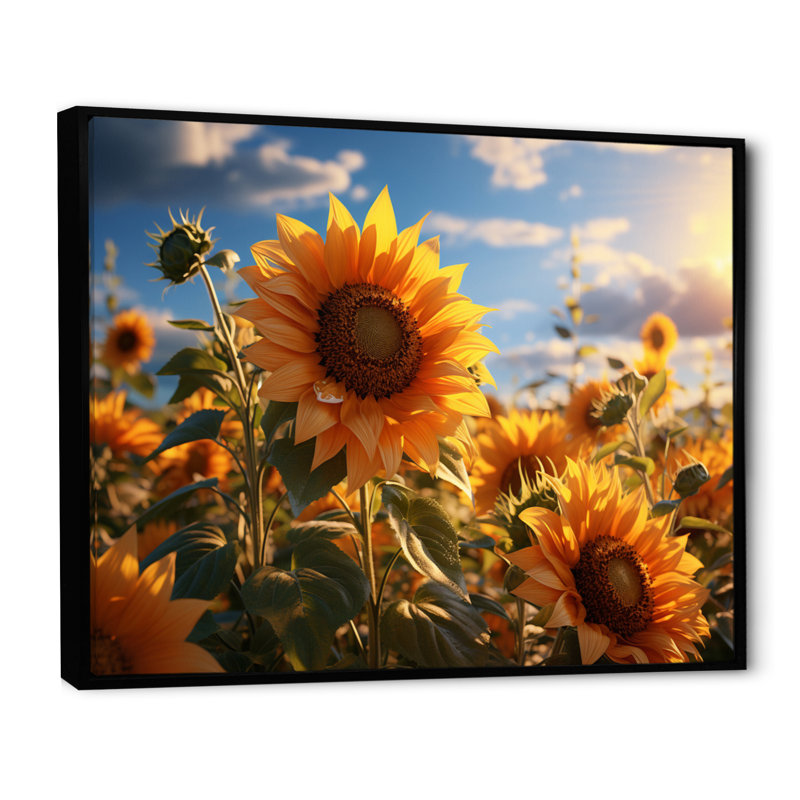 Snejana, Allemagne, tournesol, paradis, lever de soleil I - impression, 30" H x 40" W, Cadre flottant noir