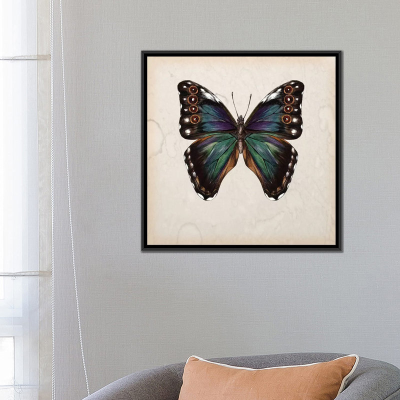 «Butterfly Study III», impression sur toile, H 18 po x l 18 po x P 1,5 po, Toile encadrée noire, Pas de tapis