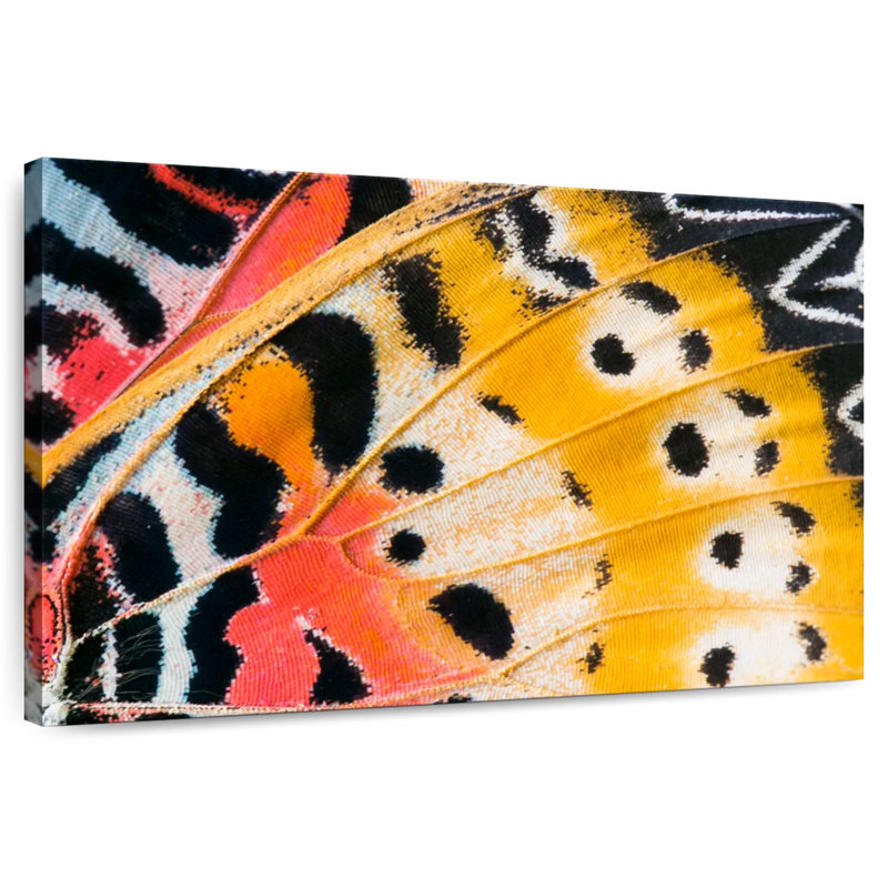 Brampt Butterfly Wing, 26" H x 39" W