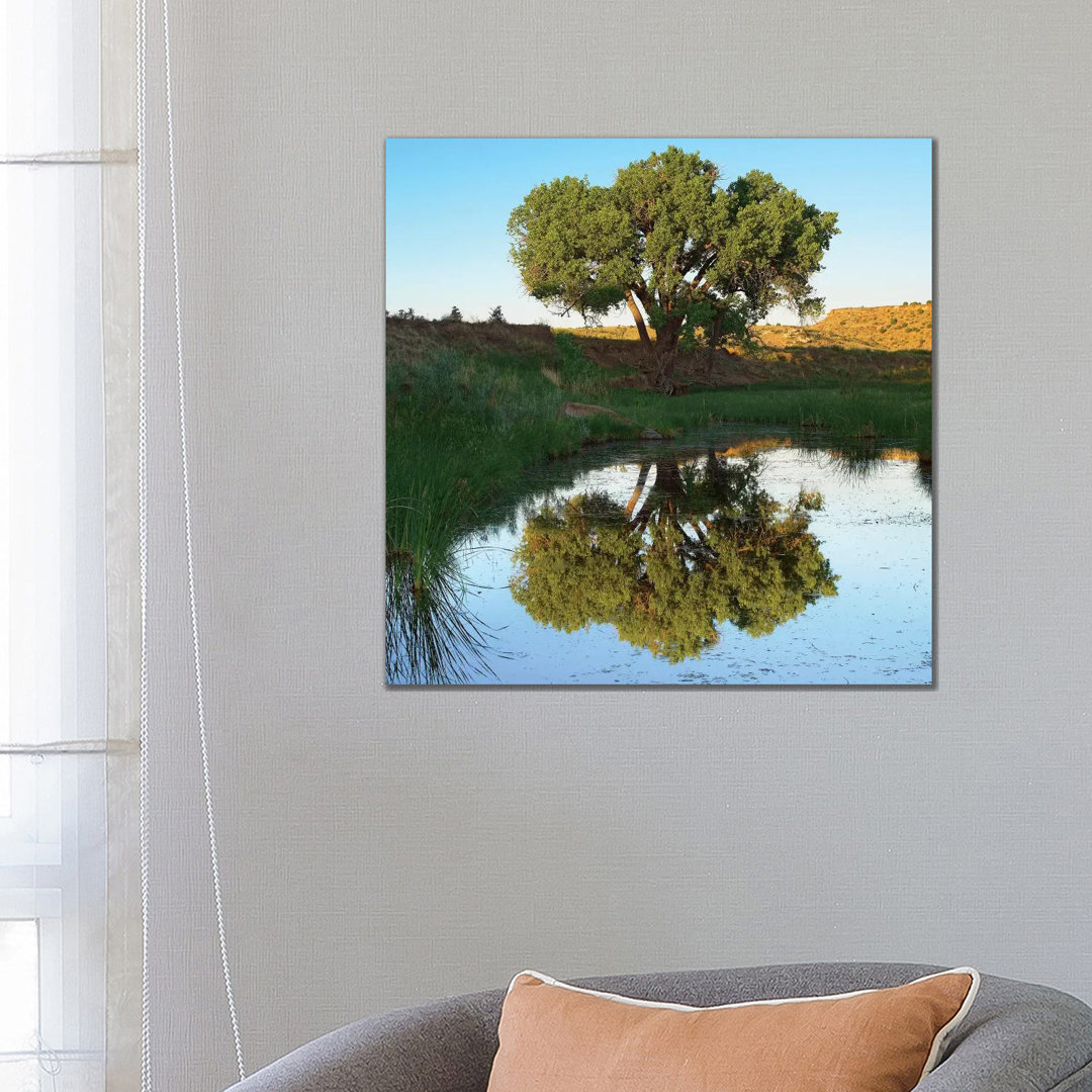 Baum spiegelt sich im Bach in der Nähe des Black Mesa State Park, Oklahoma - Druck