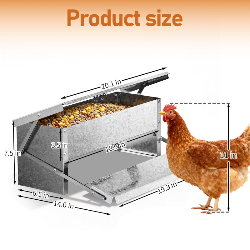 7.9'' Silver Chicken Feeder Rodent Proof