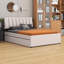 Lit plateforme tapissier avec lit gigogne-1088558285