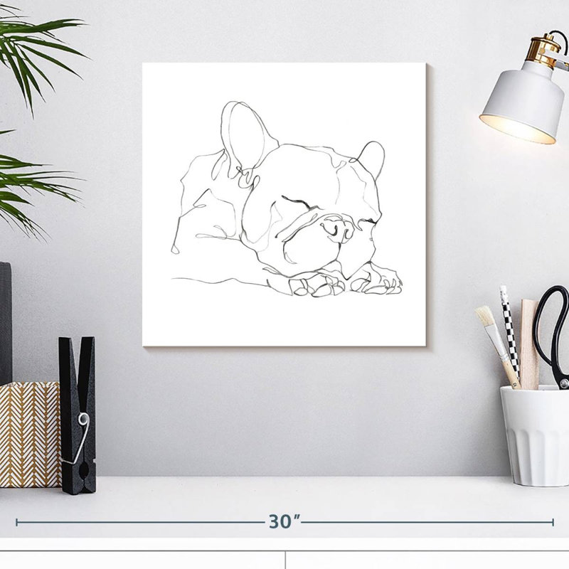 Bouledogue français Brampt Contour I, H 16 po x l 16 po