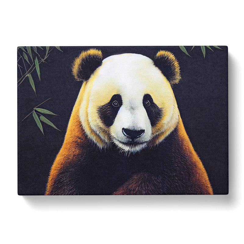Captivating Panda - Wrapped Canvas Print, 35cm H x 50cm W x 3cm D