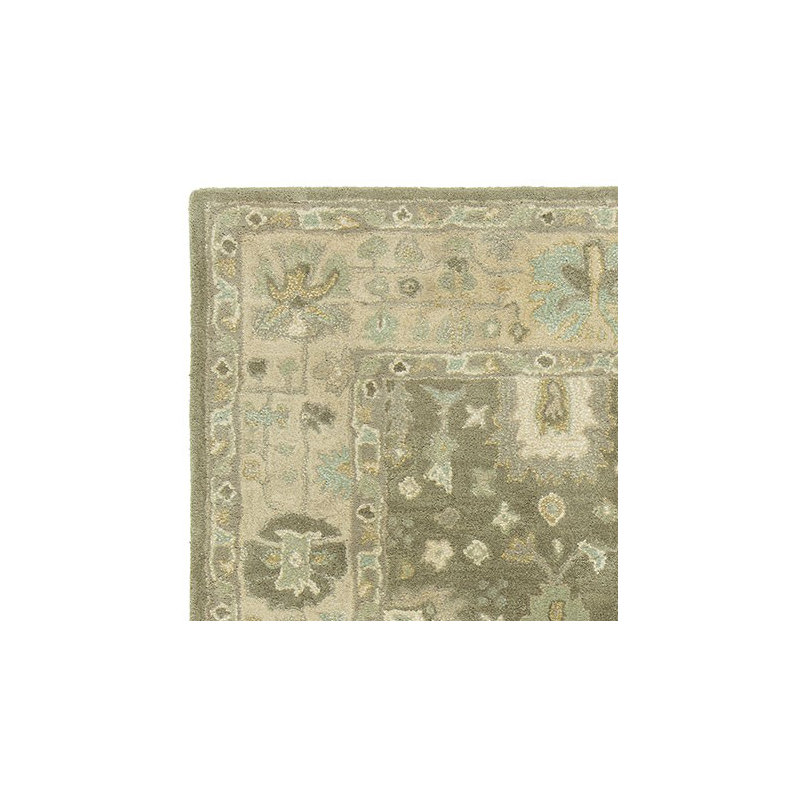Allenwood Wool Oriental Area Rug, Rectangle 5'6" x 8'6"
