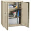 Fireproof Double Door Storage Cabinet