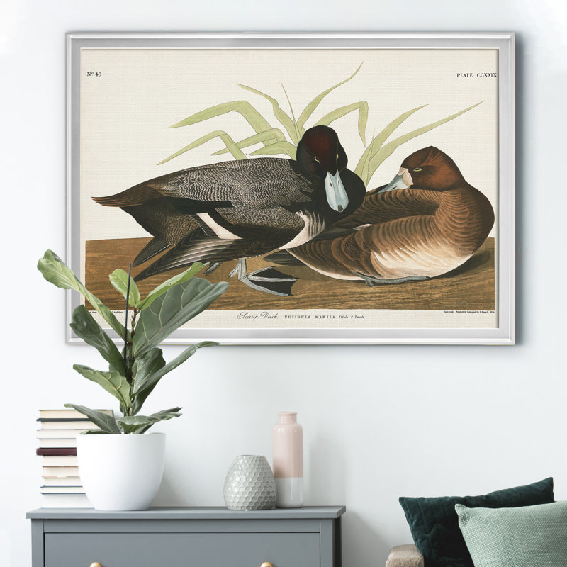 " Scaup Duck ", Silver, 22" H x 30" W x 1" D