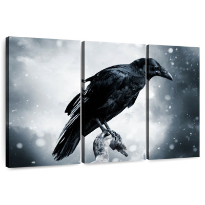Corbeau noir Brampt