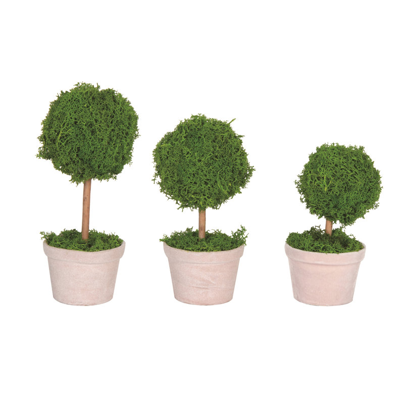 Ensemble de 3 arrangements floraux en pot