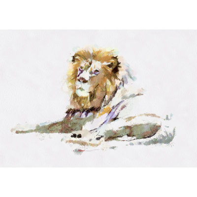 Lion Resting - Wrapped Canvas Art Prints