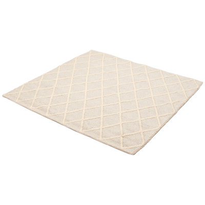 Iamandi Performance Hand Braided Wool Rug