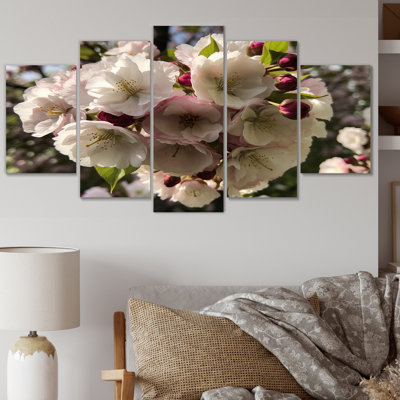 «Blossoming Cherry Flowers In Spring», reproduction d'art sur toile - 5 panneaux