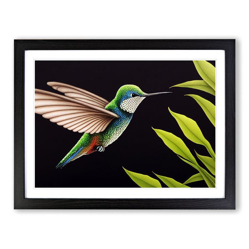 Beguiling Hummingbird - Single Picture Frame Print, 46cm H x 64cm W x 2cm D, Black Frame