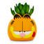 Plante de 6 po