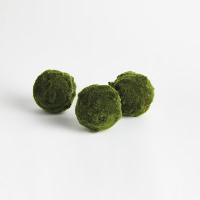 Barrientos ORBS 5" Set of 3