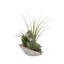 Faux Succulent Plant in Cement Pot
