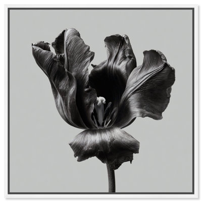 Tidal Wilt II Graphic Art Canvas