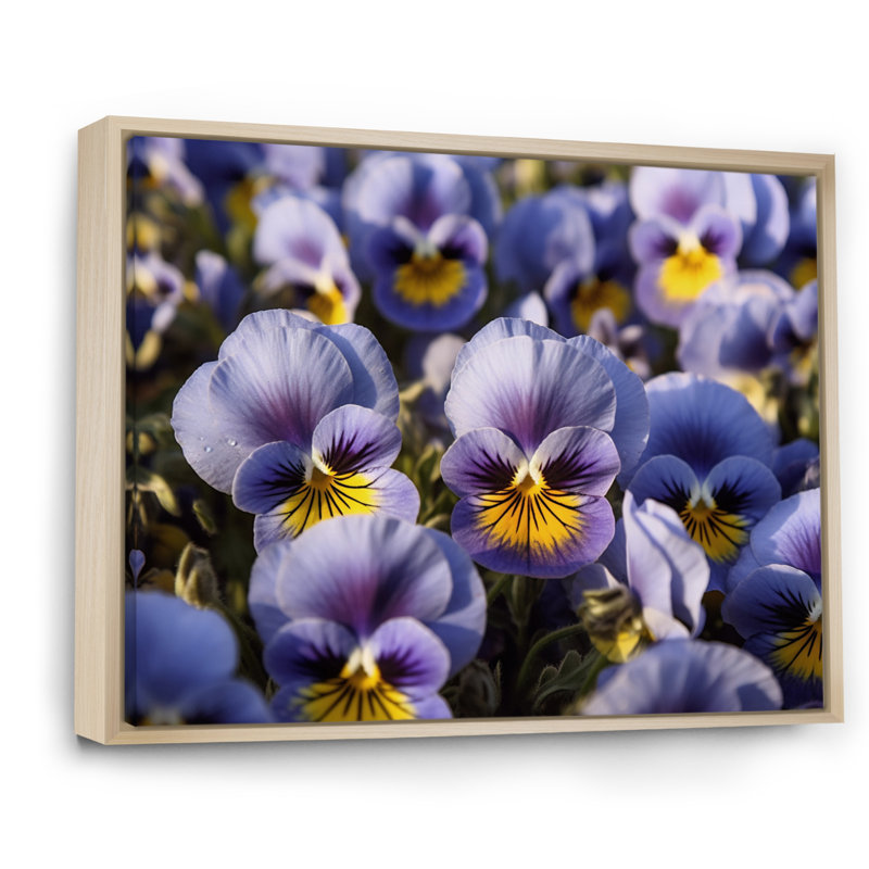 «Purple Yellow Pansies Harmony II», reproduction sur toile, H 30 po x l 40 po x P 1,5 po, Cadre naturel flottant