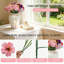 Arrangement