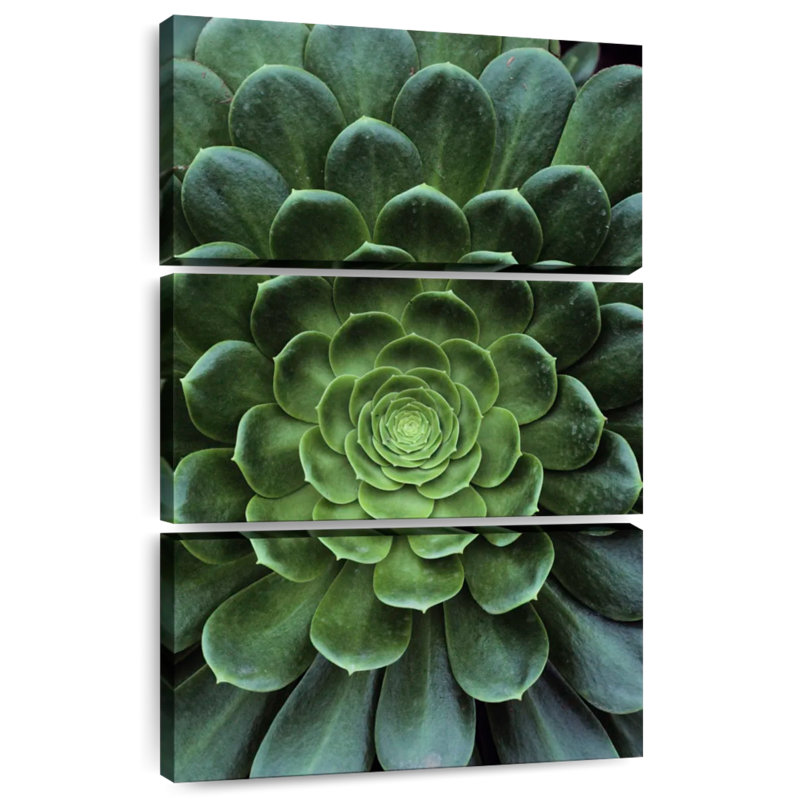 Harnek Flowerlike Succulent, 32" H x 20" W