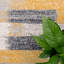 Ambreen Area Rug-78561496