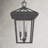 Lalla 3-Light Outdoor Hanging Lantern