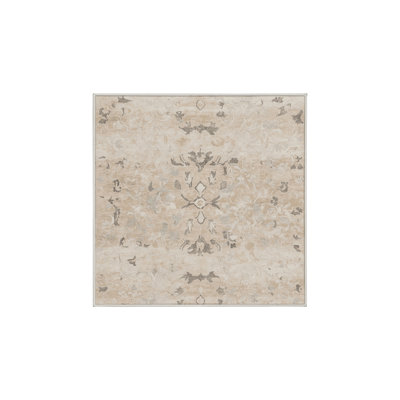 Machine Washable Beige Area Rug GSIX03682