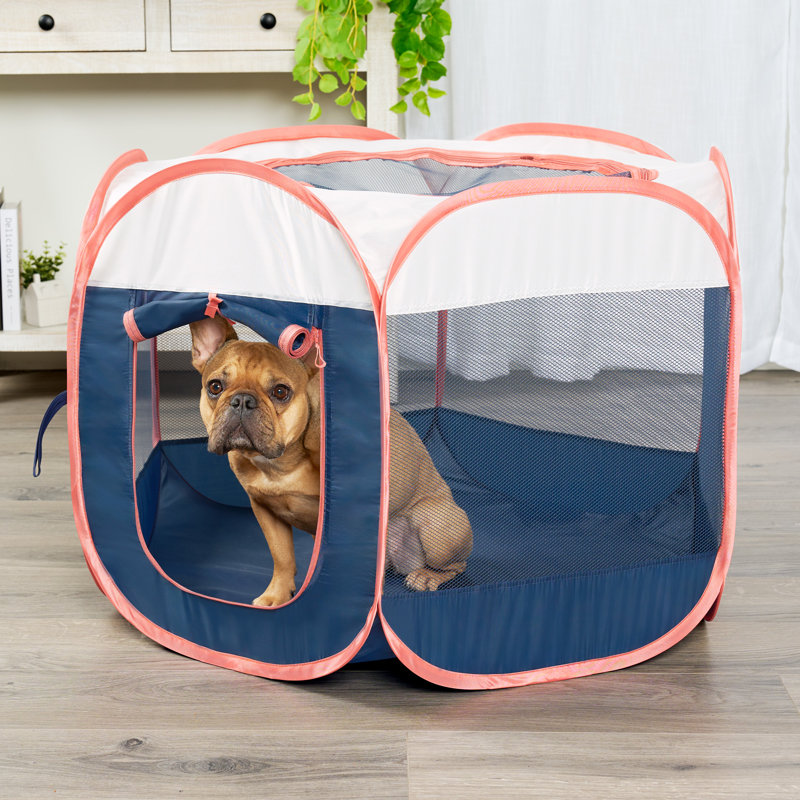 with Pet Door, 23.75" H x 37" W x 31" D, Navy